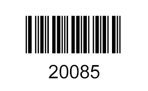 20085